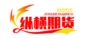 某某金融有限公司